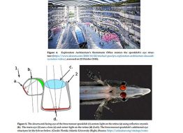 biomimicry-and-the-built-environment-learning-from-natures-solutions (2)